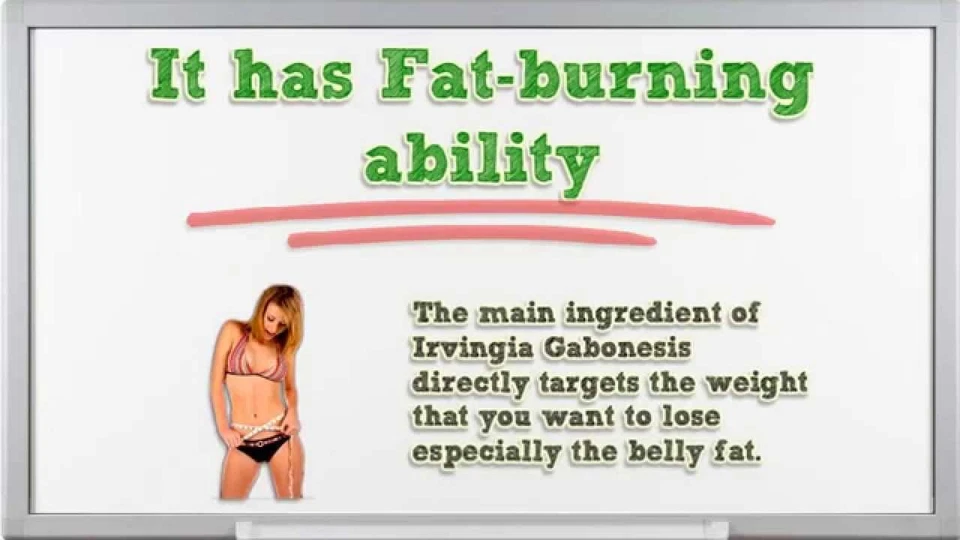 weight loss body shaper - AFRICAN MANGO 1200MG - african mango natural - 2 Bottl - Image 4 of 4