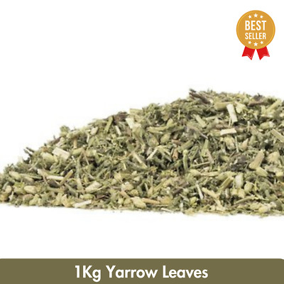 1kg Schafgarbenkraut Achillea millefolium 100% natürlicher Kräutertee getrocknete Schafgarbenblätter