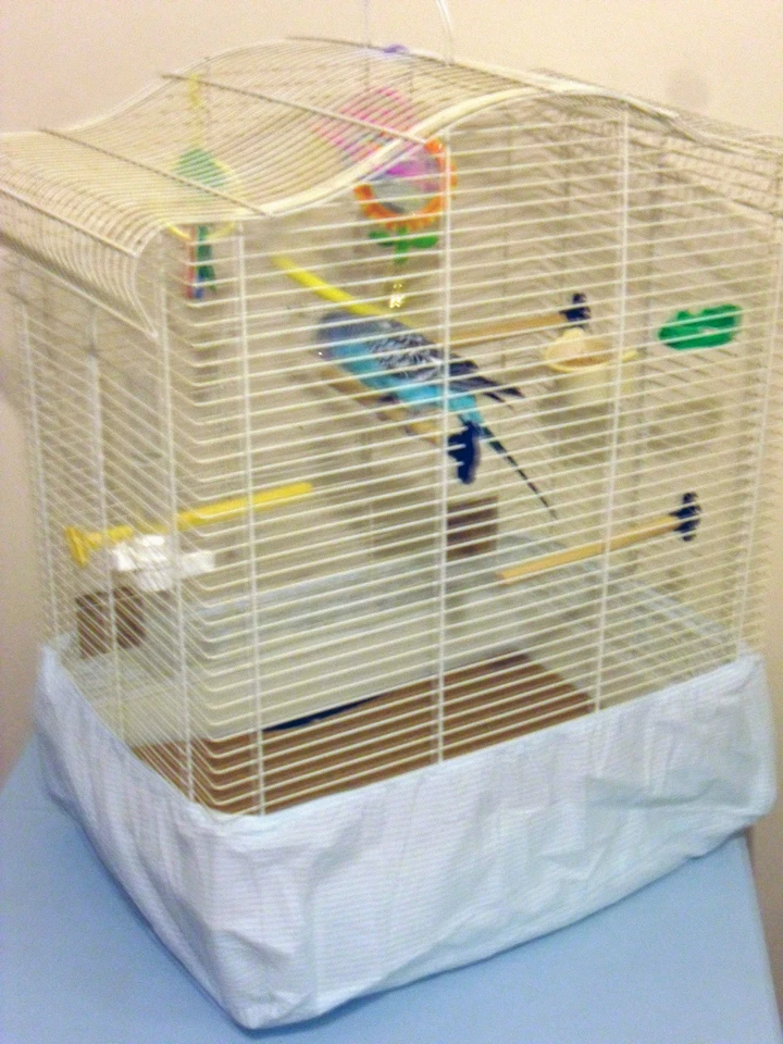 JAULA ORDENADA para JAULAS DE PÁJAROS DISPONIBLE EN CUATRO TAMAÑOS - HECHA EN EL REINO UNIDO Foto 2 de 4