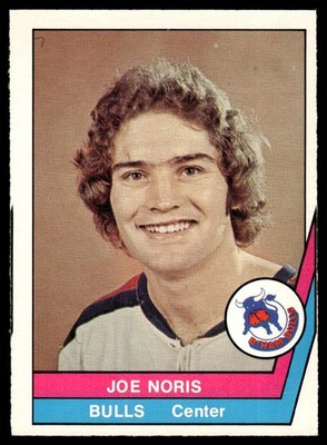 1977-78 O-Pee-Chee WHA VTG Hockey Joe Noris Birmingham Bulls #5