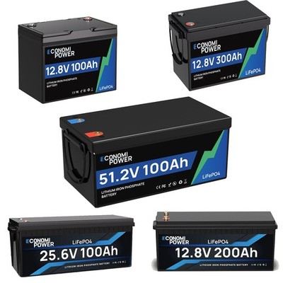 48V 24V 12V 100Ah/200Ah/300Ah  LiFePO4 Lithium Batterie mit BMS Wohnmobil Solar