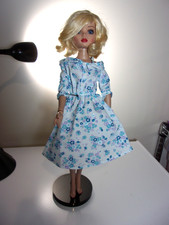 Robert Tonner Ellowyne wilde doll.  No box