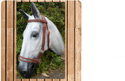 Side Pull Double Leather Noseband, gebisslose Zäumung, Lindel, dark oiled