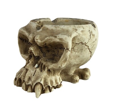 Vintage Midcentury Realistic Small Human Skull Ashtray