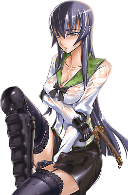 Highschool Of The Dead Anime Manga High School PNG, Clipart, Anime