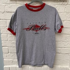 Vintage Lee Sport Chicago Bulls T Shirt Made In USA PTP 20”