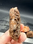 Calandria Agate. 6 Whole Nodules. — photo 6
