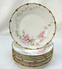 Vtg Haviland Co Limoges France hand painted Floral Salad Plates Rare set of 8
