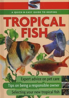 Quick-N-Easy Guide to Keeping Tropical Fish,Ann McDowall
