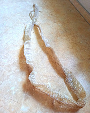 Schlangenhaut Kornnatter neu ca. 145cm