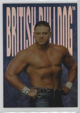2000 Comic Images WWF No Mercy Hardcore Champions The British Bulldog #C7 0w6