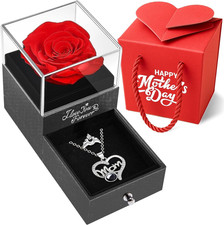 Preserved Real Rose with Mom Necklace for Mom