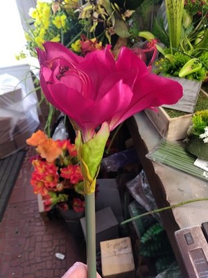 Artificial amaryllis stem. silk flower floral arrangements.