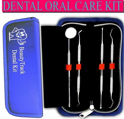 Dental Tooth Cleaning Kit 4PCS Dentist Scraper Pick Tool Calculus Plaque Remover