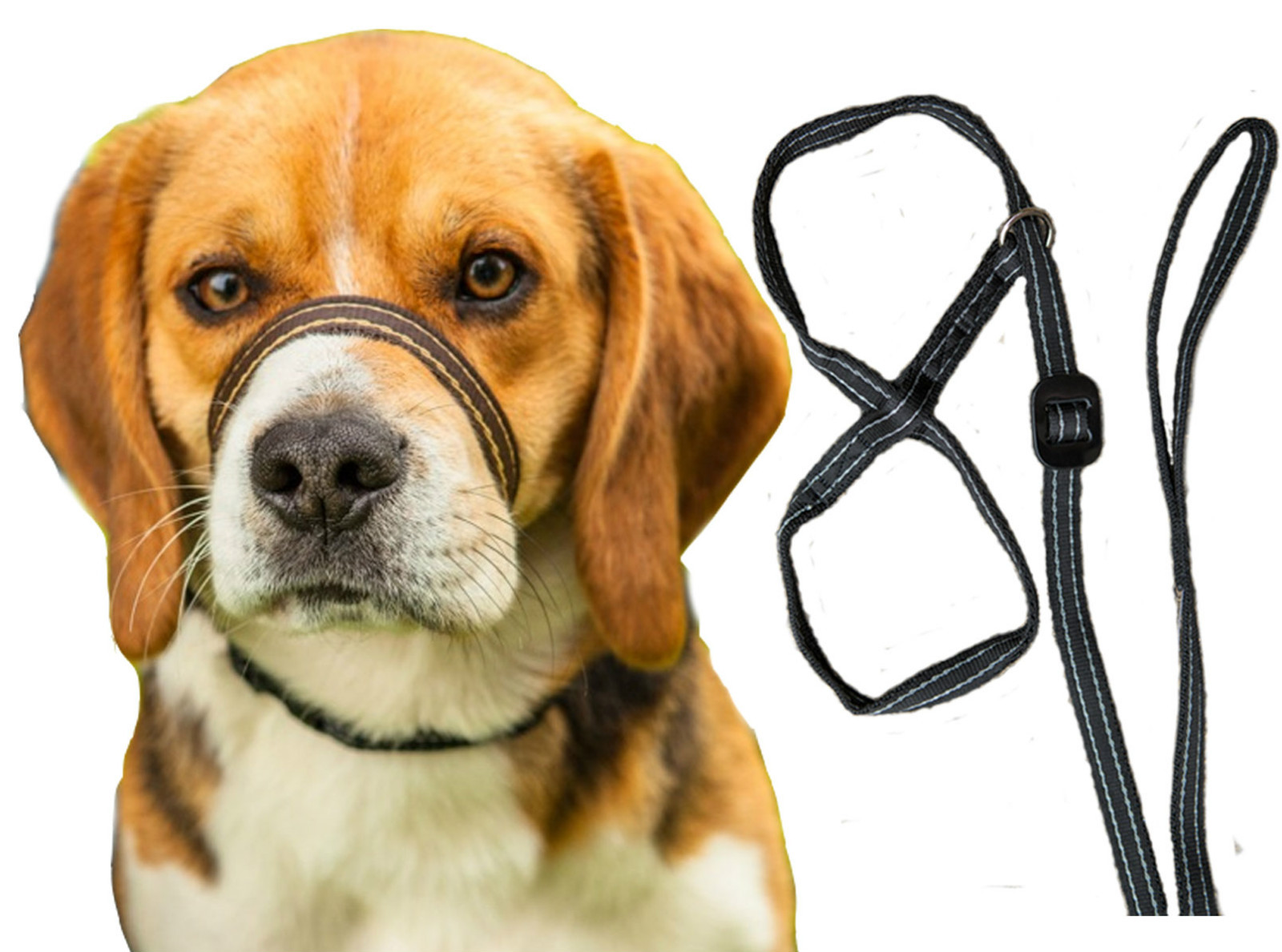 Gencon All In 1 Head Collar and Lead Stop Dogs Pulling Pink/Wine Gentle