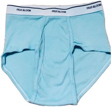 Men's Fruit of the Loom Underwear Briefs/Aqua Blue
