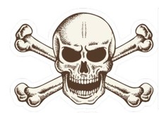 Skull Crossbones Vinyl 3" Die Cut Sticker