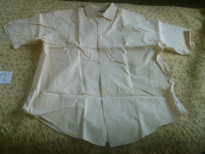 Land's End Short Sleeve Beige & White Striped Dress Shirt (Item #1)