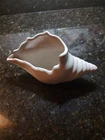 Van Briggle sea shell