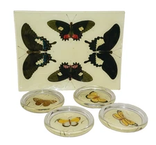 JOHN DERIAN Small Glass Butteryfly Tray & Four Glass Coasters Collection Set