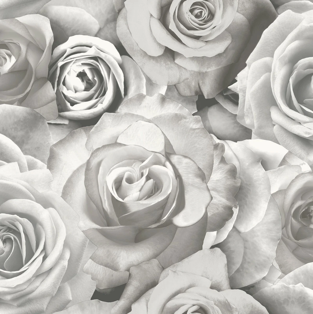 New outlet wallpaper rose