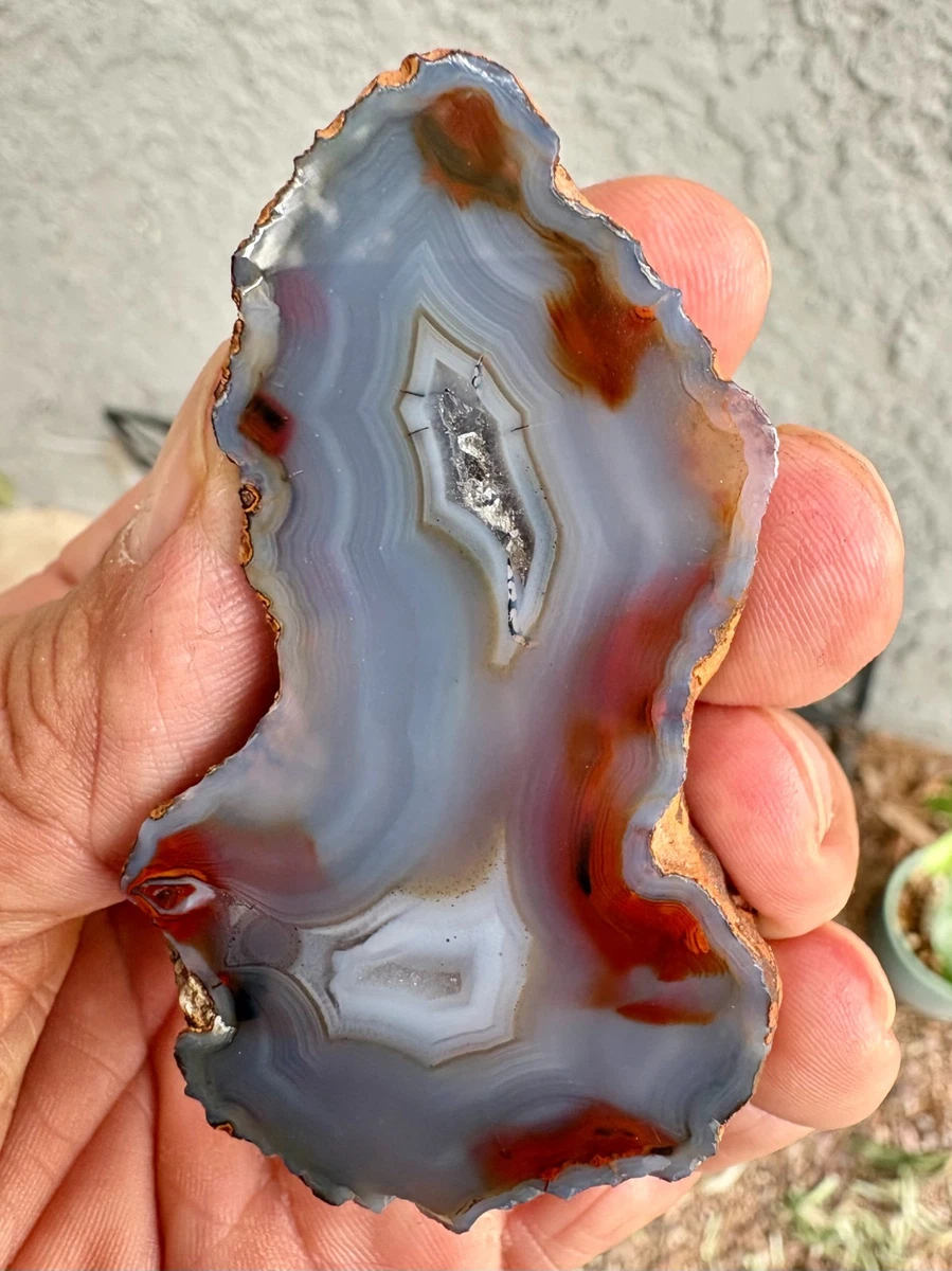 25+ Condor Agate for sale | Updated Oct 2026