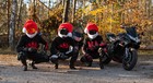 Foto 9 di 9