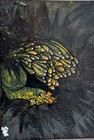 ACEO Art Card Original, Acrylic Hydro Dipping, Abstract, Outsider Art, Brut Art — photo 2