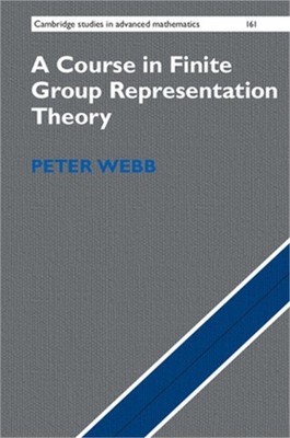 A Course in Finite Group Representation Theory (Hardback or Cased Book)