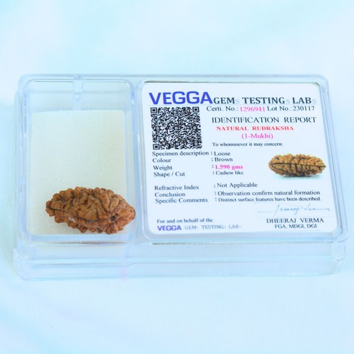 1 Mukhi Rudraksha Bead | Natural One Faced Nepal Bead, Lab Certified & Pure - Picture 2 of 6