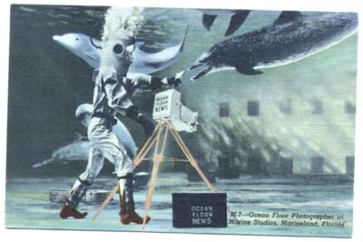 Postcard Ocean Floor Photographer Marine Studios Marineland FL Florida 