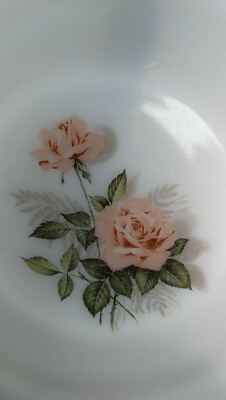 6 Assiettes Dessert Arcopal Roses Roses Décor Fleurs Vaisselle Ancienne French | eBay
