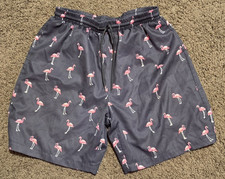 Boys swim trunks fit like a size 14/16 blackw/flamingos