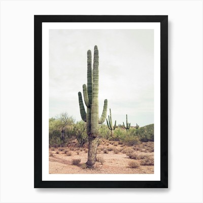 Wüste Kaktus Kunstdruck gerahmt Wandbild Poster Leinwanddruck Bild