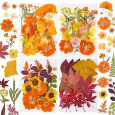 100 Pcs Fall Dried Pressed Flowers for Resin, Autumn Dried Flowers Leaves for...