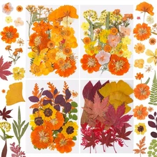 100 Pcs Fall Dried Pressed Flowers for Resin, Autumn Dried Flowers Leaves for...