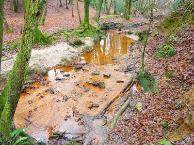 Photo 6x4 Iron-coloured stream in the Millbrook Valley Ford's Green/TQ44 c2016
