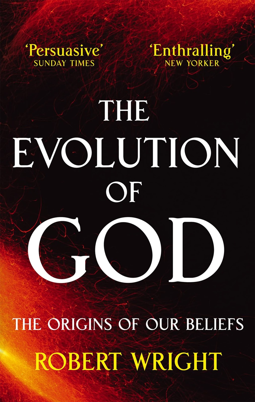 The Evolution Of God by Robert Wright (Paperback Book) - Image 4