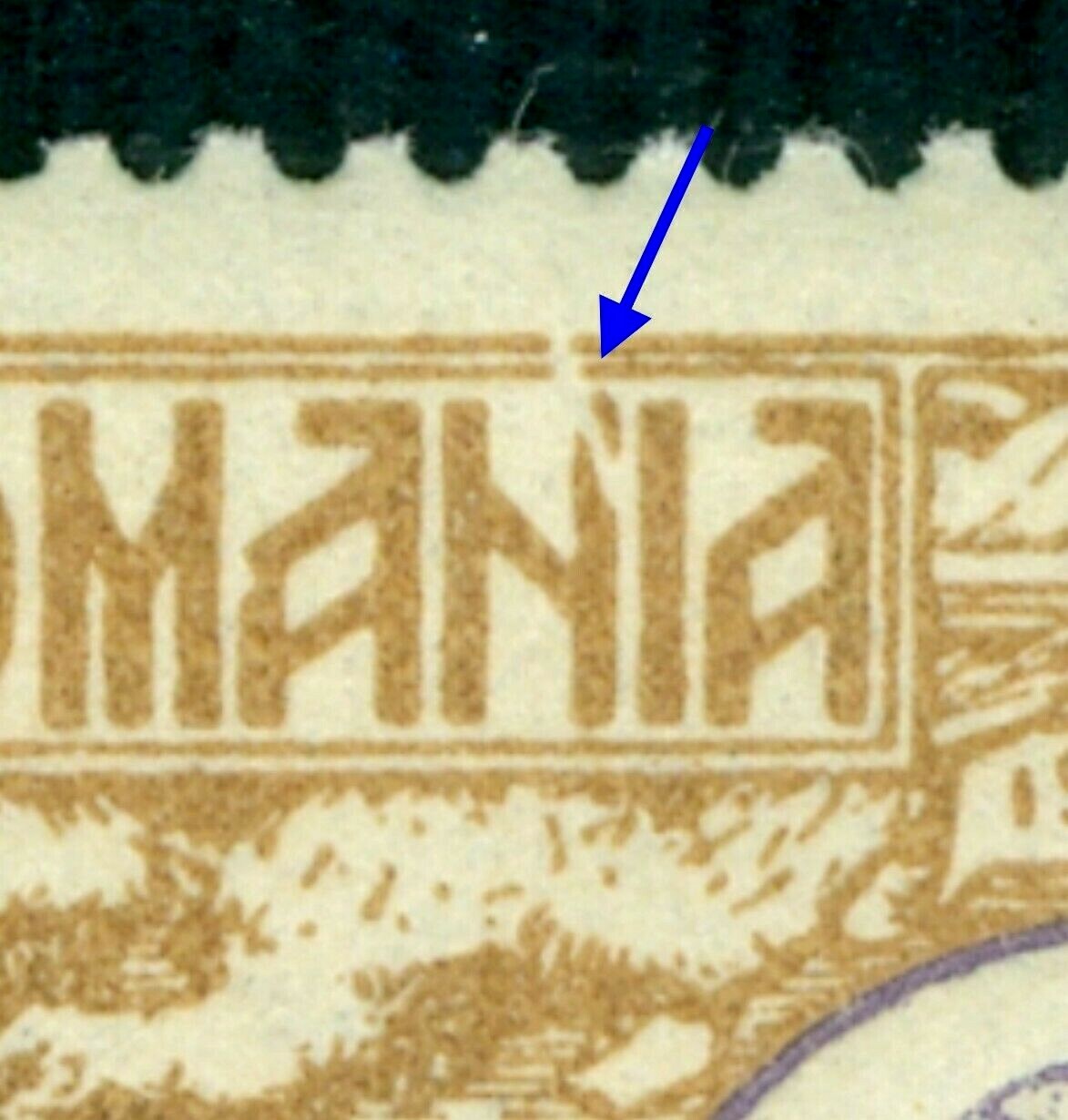Picture 2 of 3