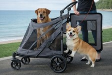 Pet Gear NOZip Pet Stroller with Dual Entry, Push Button Zipperless Entry
