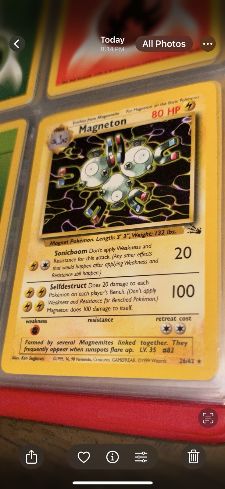 Magneton 26/62 Fossil Regular