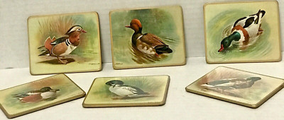 Coasters England Matador Lady Clare Set Wild Ducks Basil Ede   Mallard  Vintage