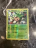 Pokémon Card Chespin 9/162 Breakthrough Set Reverse Holo 2015 Snorlax Background