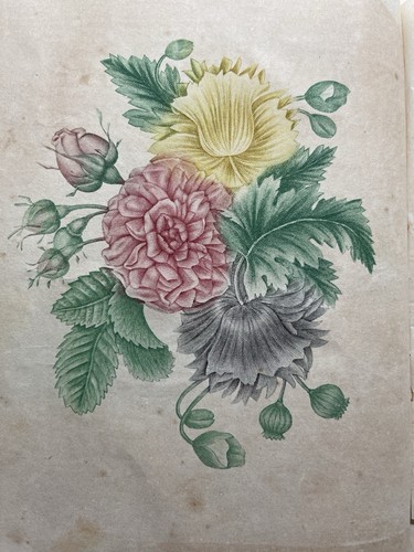 1845 LADIES NATIONAL MAGAZINE BOUND VOL VII PETERSON COLOR DRESS FASHION PLATES - Picture 4 of 24