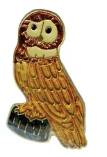 Pack of 50 Owl Bike Motorcycle Hat Cap Lapel Pin HP40