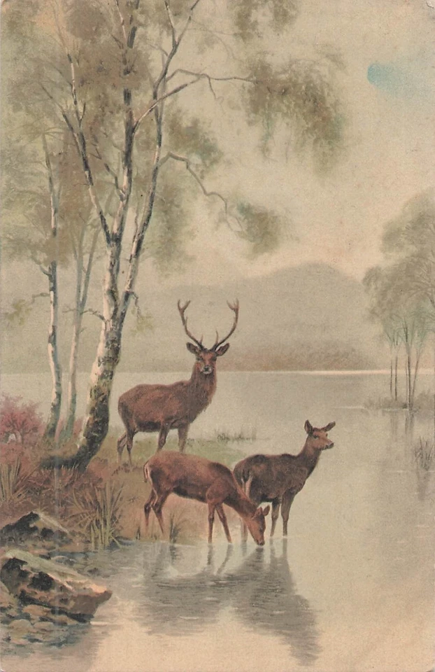 CP ILLUSTREE MEISSNER CERF BICHES LAC MONTAGNES - 70155 - Photo 1/2