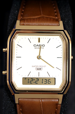 CASIO CLASSIC AQ-230EGL-9AJF Gold Analog Digital Watch Brown