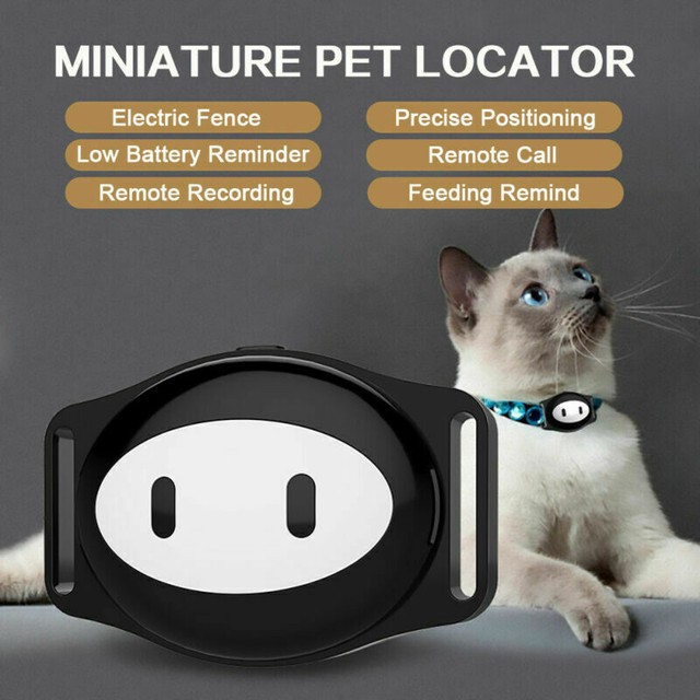 real time dog tracker