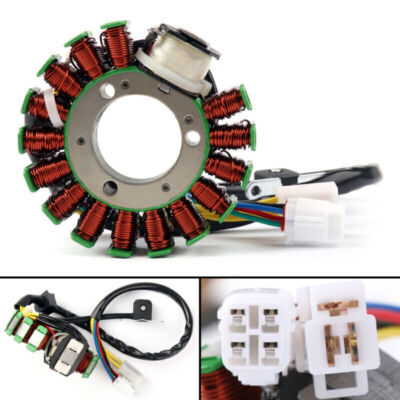 Generator Stator Spule für Yamaha YFM250 Bear Tracker 99-00 California 99-00 AH