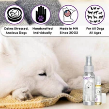 Samoyed Relax Dog Aromatherapy | Calms Frightened, Anxious Dogs Naturally